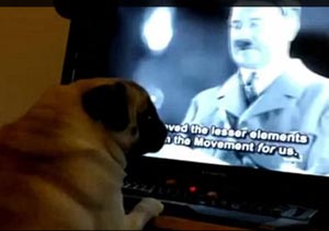 Nazi dog